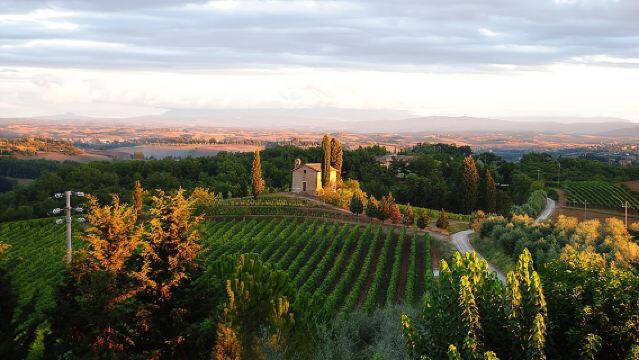 "CLASSIC" Wine Tasting and Typical Tuscan Products