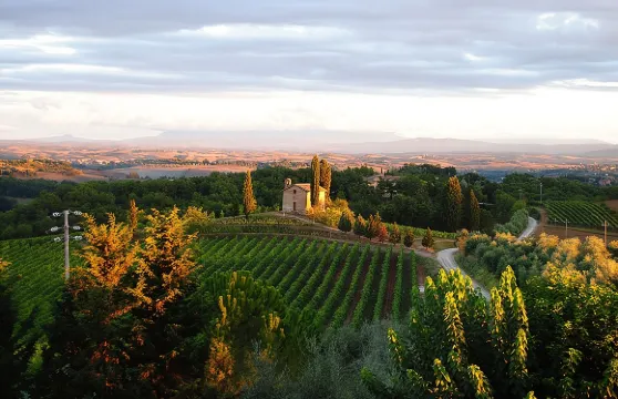 經典葡萄酒品嚐及托斯卡納特色產品