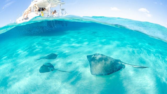 Cayman Adventure: Starfish Point, Stingray City and Coral Gardens