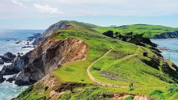 繆爾森林國家紀念地+斯廷森海灘+point reyes 海岸