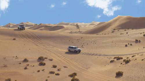 Abu Dhabi Al Khayma Seahorse Morning Dune Bashing Experience Day Tours 6