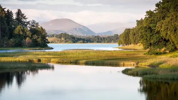 From Inverness: Cairngorms National Park and Whisky Tour
