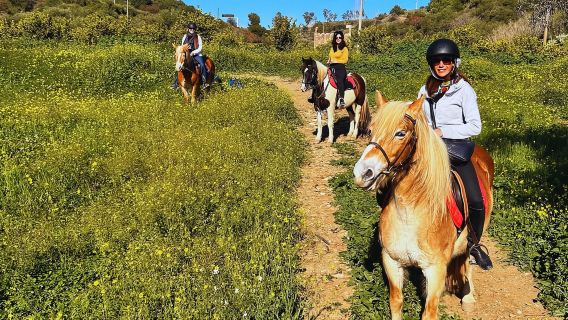 Catania: Passeggiata guidata a cavallo nella campagna di Misterbianco