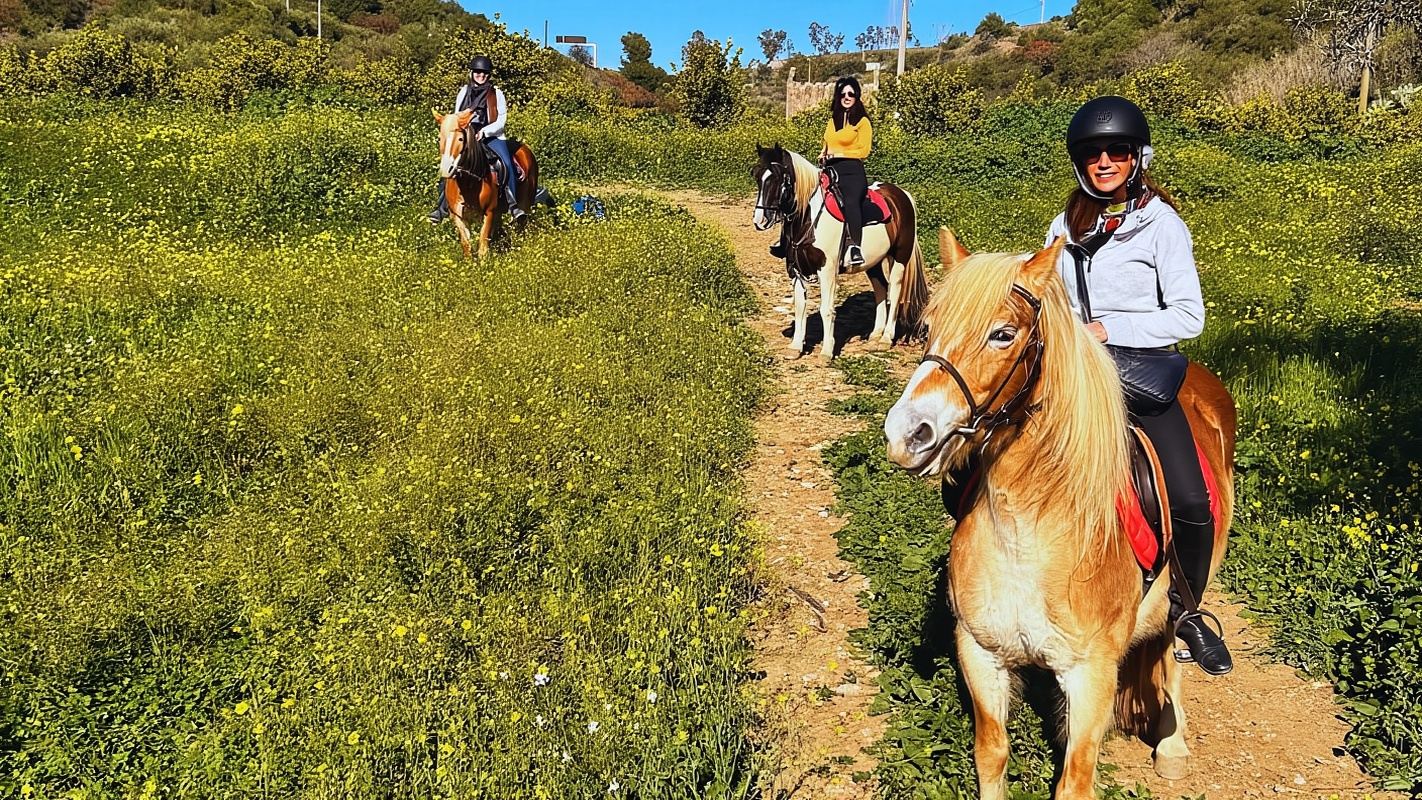 Catania: Guided Horseback Ride in Misterbianco Countryside