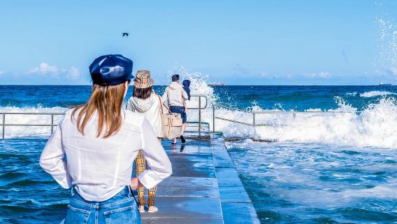 Sydney: Sea Cliff Bridge, Kiama Blowhole and Farmlands Tour