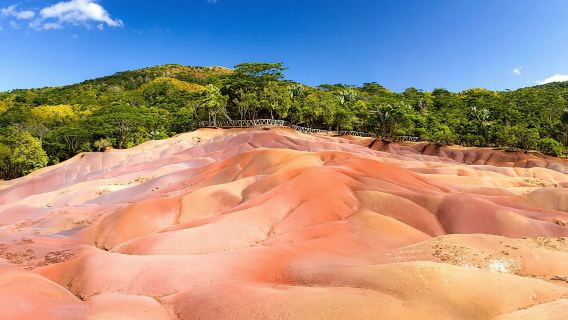 Mauritius: Wild Southwest Full-Day Tour with Lunch