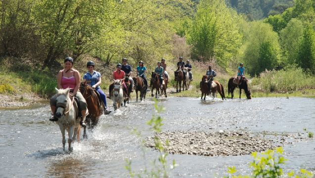 Marmaris: Horse Riding & Safari with Hotel Transfer
