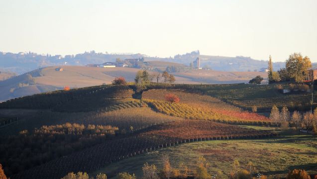 랑게(Langhe): 와이너리 투어 및 와인 테이스팅