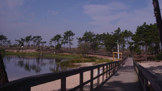 Lagoa da Ervedeira E-bike and Stand Up Paddle tour