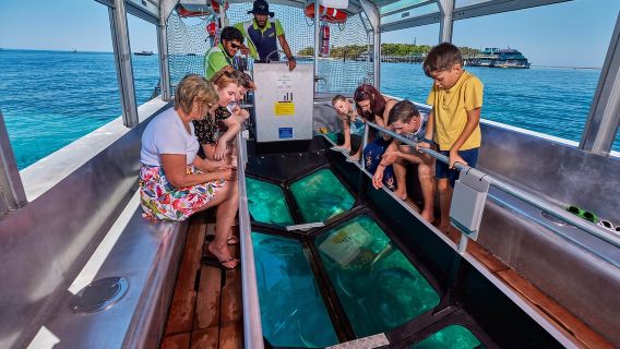 Dari Cairns: Pelayaran Pulau Hijau Sehari Penuh