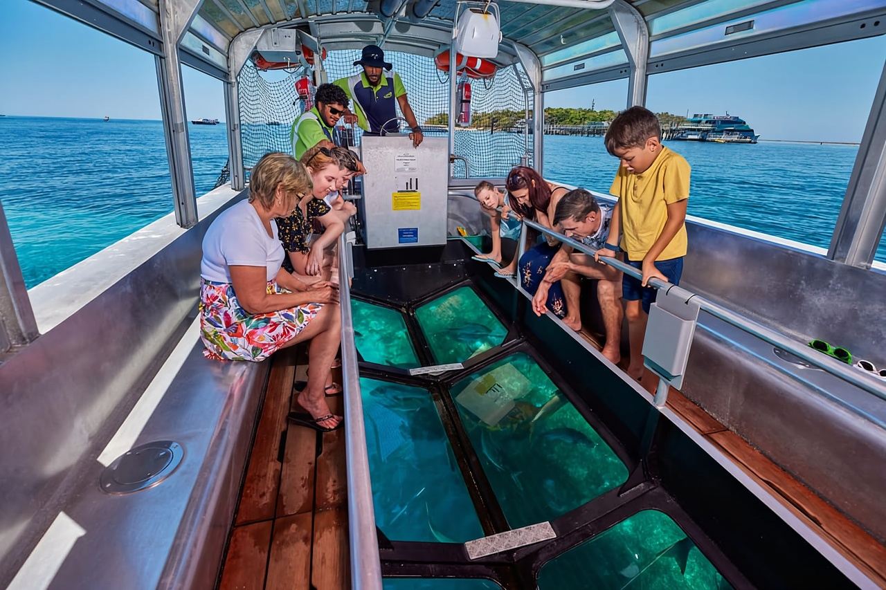 From Cairns: Full-Day Green Island Cruise