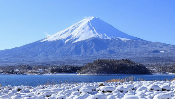 Tokyo|Taman Oishi + Lembah Owakudani + Kereta Kabel Hakone + Pekan Tangga Syurga|Perjalanan sewaan peribadi boleh disesuaikan