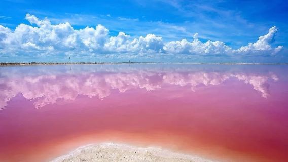 Tour privato con autista a Cancun, Messico: Lago Rosa + habitat dei fenicotteri con trasporto di andata e ritorno