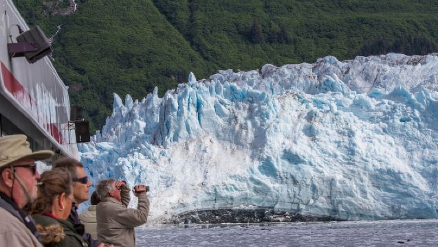 From Valdez: 7.5-hour Meares Glacier & Wildlife Cruise