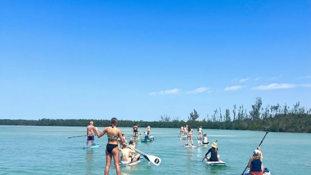 Mangroves & Hidden Beach Kayak Tour