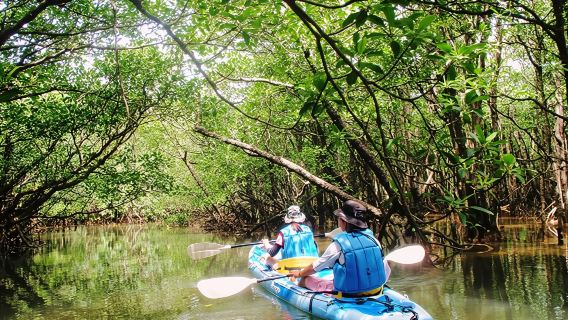 沖縄  オリオン石垣島エコツアー