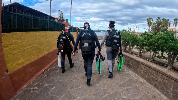 Tenerife: Experiência de Mergulho Scuba para Iniciantes em Pequenos Grupos