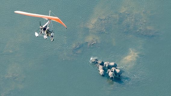 Private Microlight Flight above the Falls