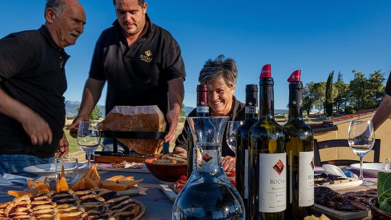 Winery Tour and Private Tasting in Montefalco