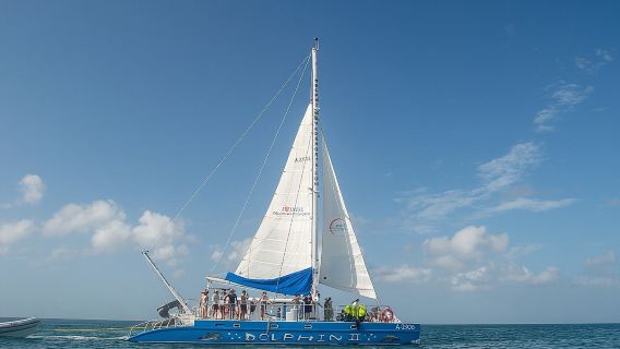 Dolphin Catamaran Snorkel and Sail with Open Bar