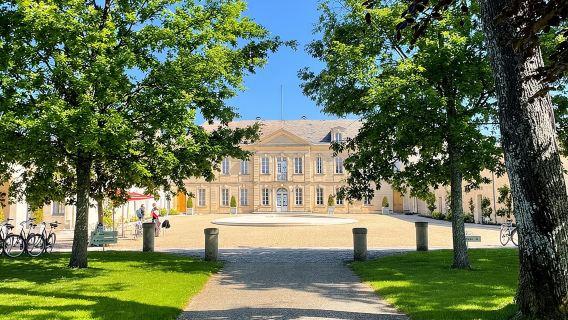Medoc or Saint Emilion Wine Tasting and Chateau from Bordeaux