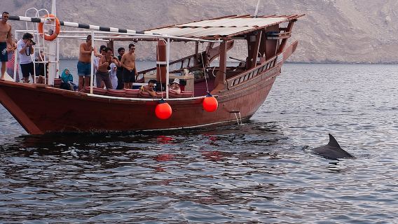 Круиз на доу Хасаб Мусандам на полдня