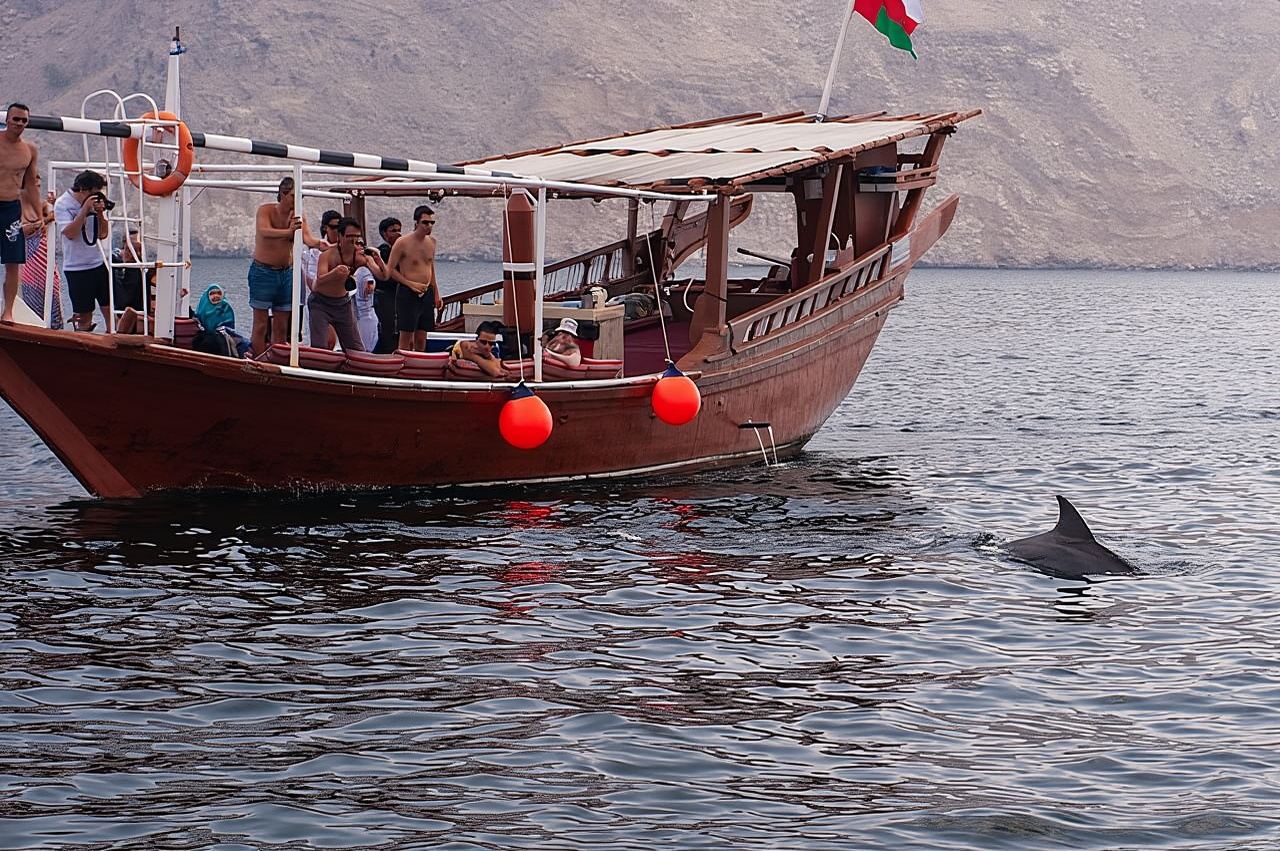 Halbtägige Dhau-Kreuzfahrt nach Khasab Musandam