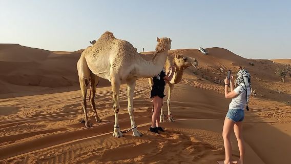 Private Morning Desert Safari Dubai with Dune Bashing & Sandboard