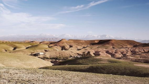 마라케시 출발 아가파이 사막 & 아틀라스 산맥 당일치기 여행