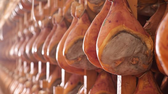 Parma ham factory experience