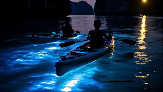 Круиз на закате в заливе Ланха и наблюдение за светящимся планктоном от Кат Ба