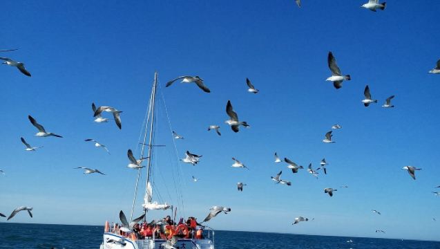 【15人小團】帆船出海+菱角灣+棒棰島+威尼斯水城1日跟團行程