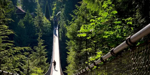 溫哥華市區遊連固蘭湖島及卡皮拉諾吊橋