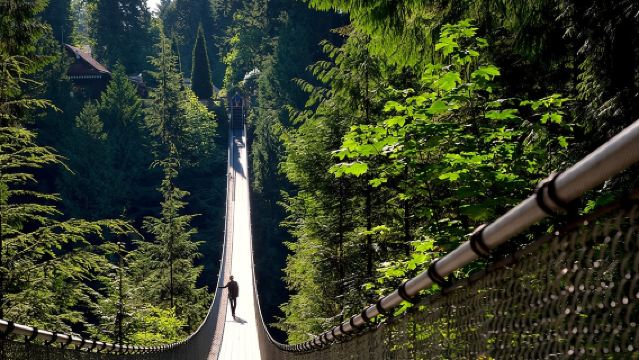 Vancouver Tour: Stanley Park, Granville Island & Capilano Bridge