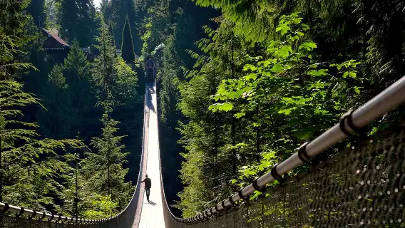 Vancouver Tour: Stanley Park, Granville Island & Capilano Bridge