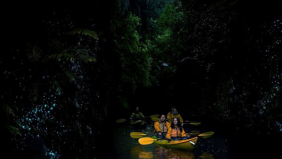 Twilight Glowworm Kayak Tour – Lake Karapiro
