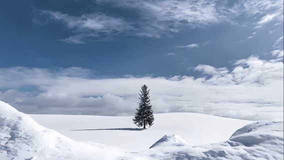 日本小樽神威岬-小樽港碼頭-小樽雪燈路【北海道中文專車】
