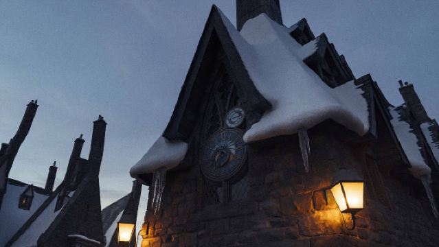 Universal Studios Japan 8-hour VIP experience with price difference