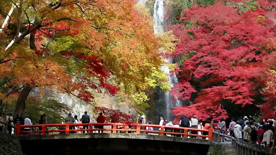 Hankyu Railway 1 Day Pass