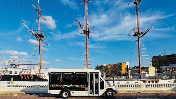 Tour panoramico in autobus della città di Tampa per piccoli gruppi