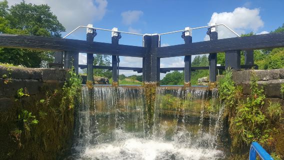 Sallins: Du thuyền trên kênh đào Digby Lock Grand - 2,5 giờ