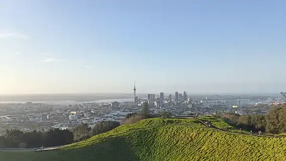 “เมือง ชายฝั่ง และชนบท” – ทัวร์วันเดียวแบบผ่อนคลายจากโอ๊คแลนด์