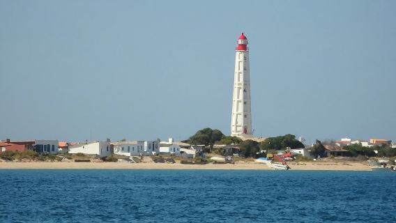 Faro: Ria Formosa - The Grand 3 Islands Boat Tour