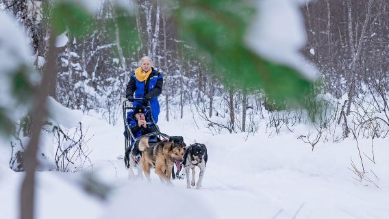 Tromsø: Petualangan Naik Kereta Luncur Anjing di Camp Aspemo