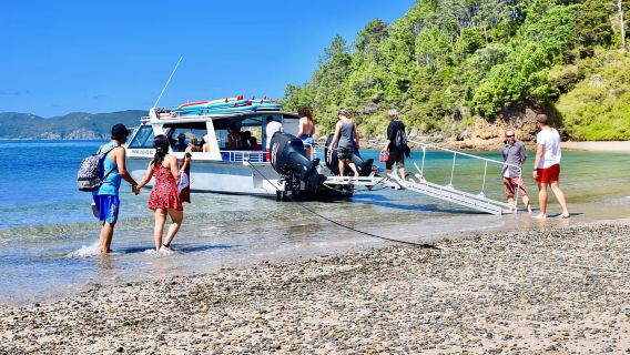 Baie des Îles : croisière d'une journée de 4,5 heures et excursion sur l'île