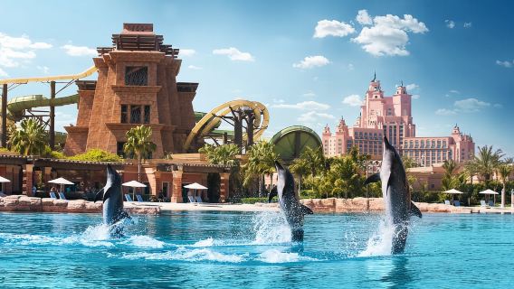Dubái: Atlantis Dolphin Paddle con Aquaventure Park