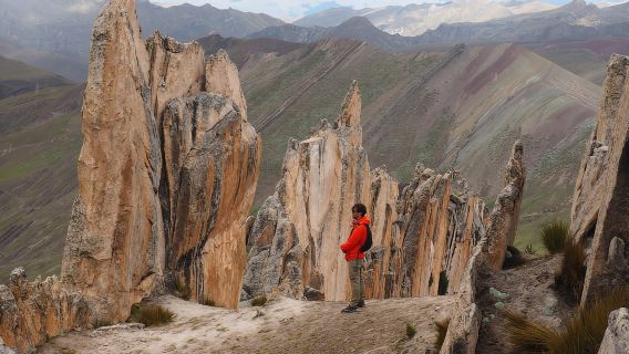 Depuis Cusco : excursion d'une journée à la montagne arc-en-ciel de Palcoyo