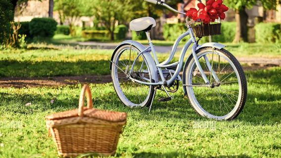 Picnic en medio de un viñedo en bicicleta eléctrica