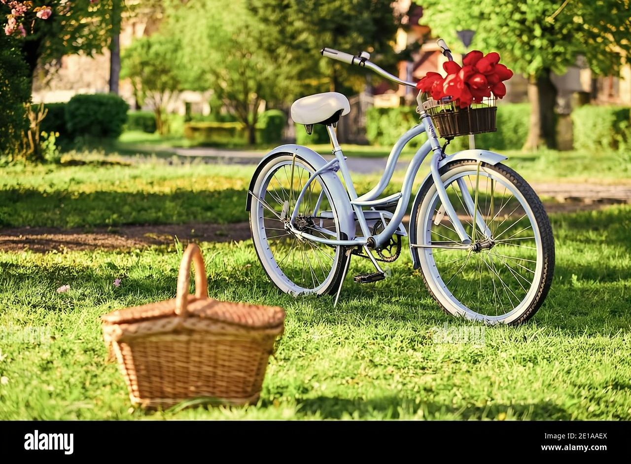 Picnic in mezzo a un vigneto in e-bike