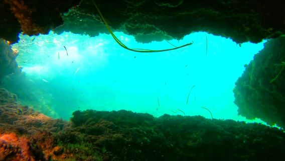 Altea: Tour guiado en kayak